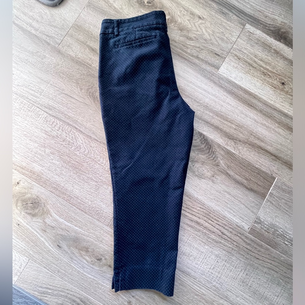 Hilary Radley Navy Blue Dress Pant Size 10